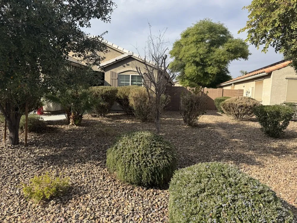 Reliable residential landscaping experts serving Phoenix, AZ - All-Terrain Titans
