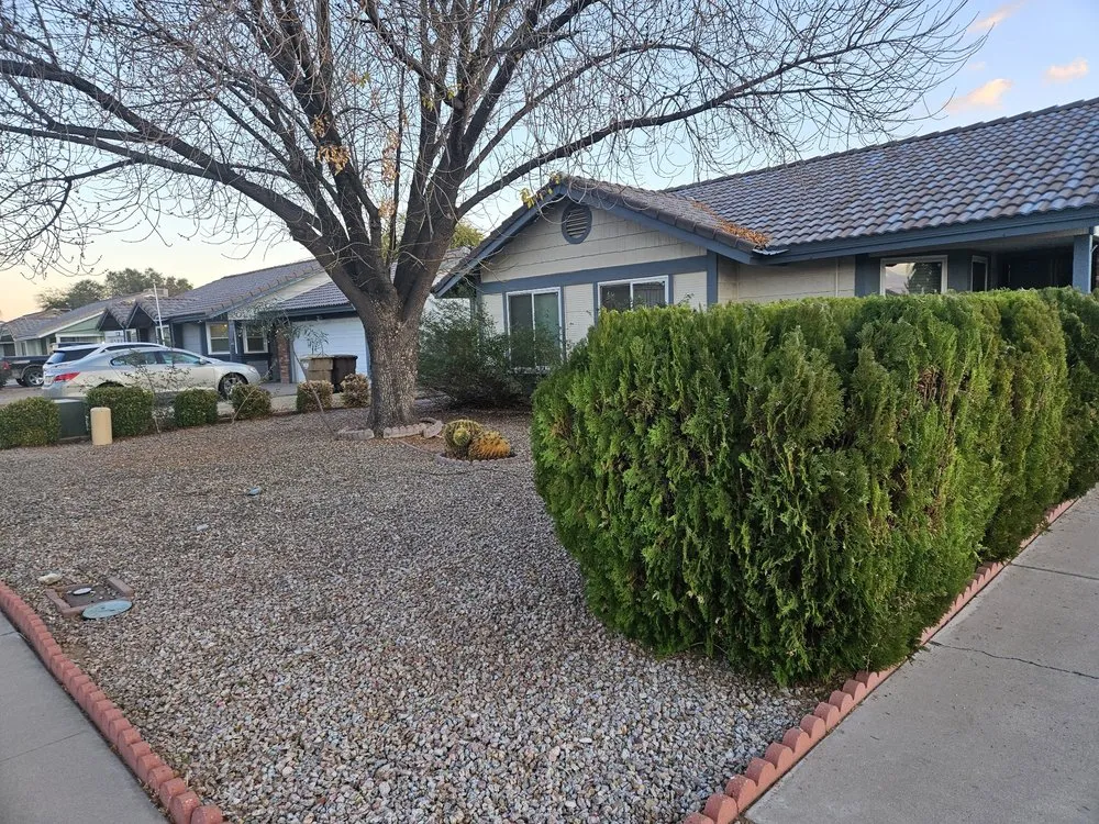 Top-rated garden landscaping in Phoenix, AZ by All-Terrain Titans