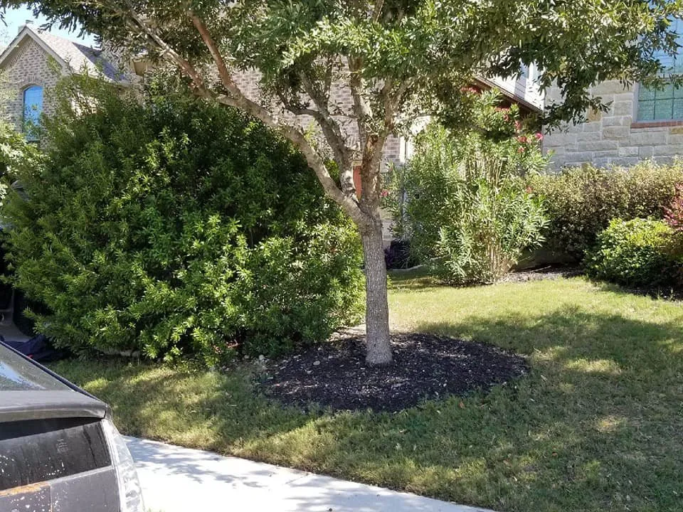 Professional residential landscaping for outdoor upgrades across Marble Falls, TX - All-Tex Construction Services