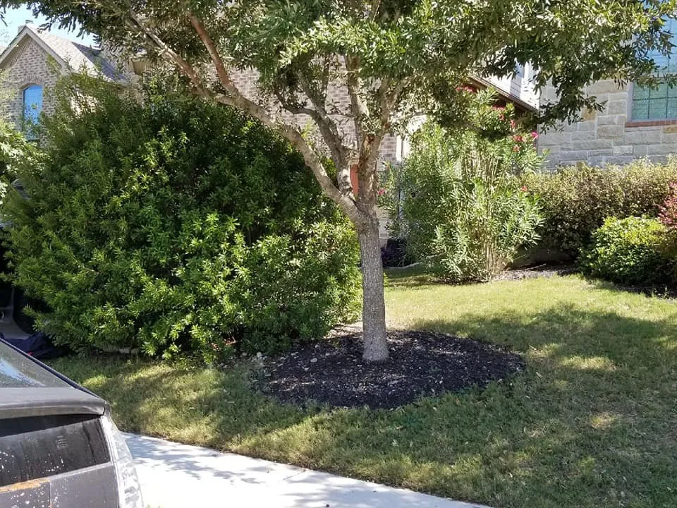 Professional yard maintenance for beautiful yards in Marble Falls, TX by All-Tex Construction Services