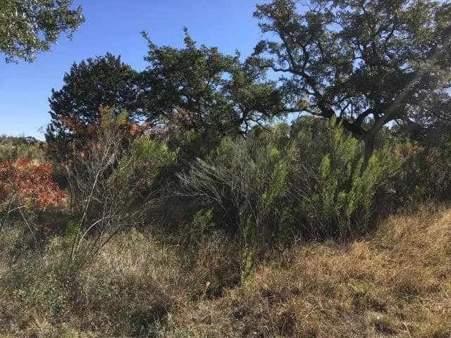 Trusted yard maintenance in Marble Falls, TX - All-Tex Construction Services