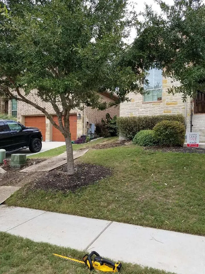 Local landscaping services for year-round maintenance in Marble Falls, TX by All-Tex Construction Services