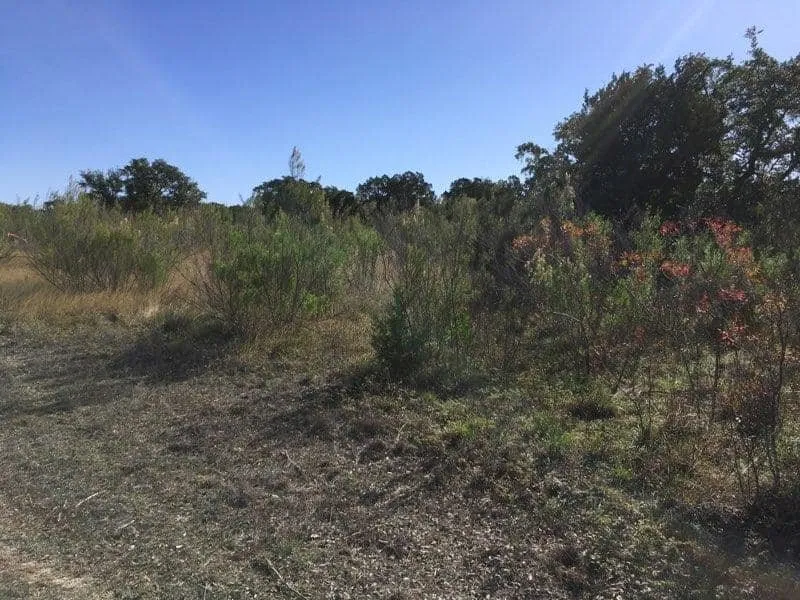 Trusted landscape installation in Marble Falls, TX - All-Tex Construction Services