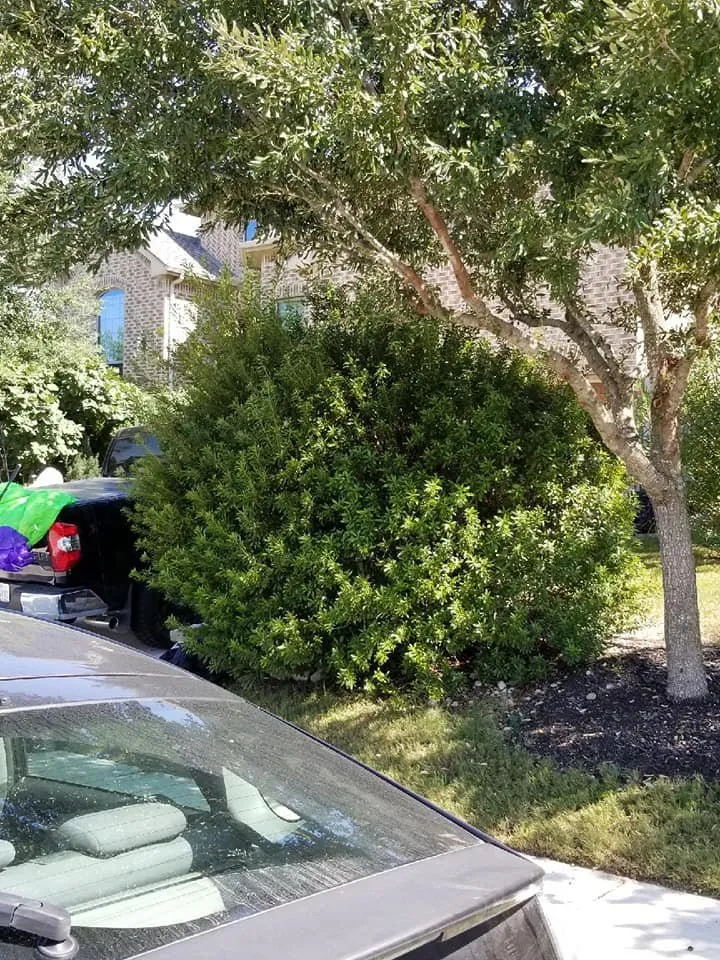 Affordable landscape design in Marble Falls, TX - All-Tex Construction Services