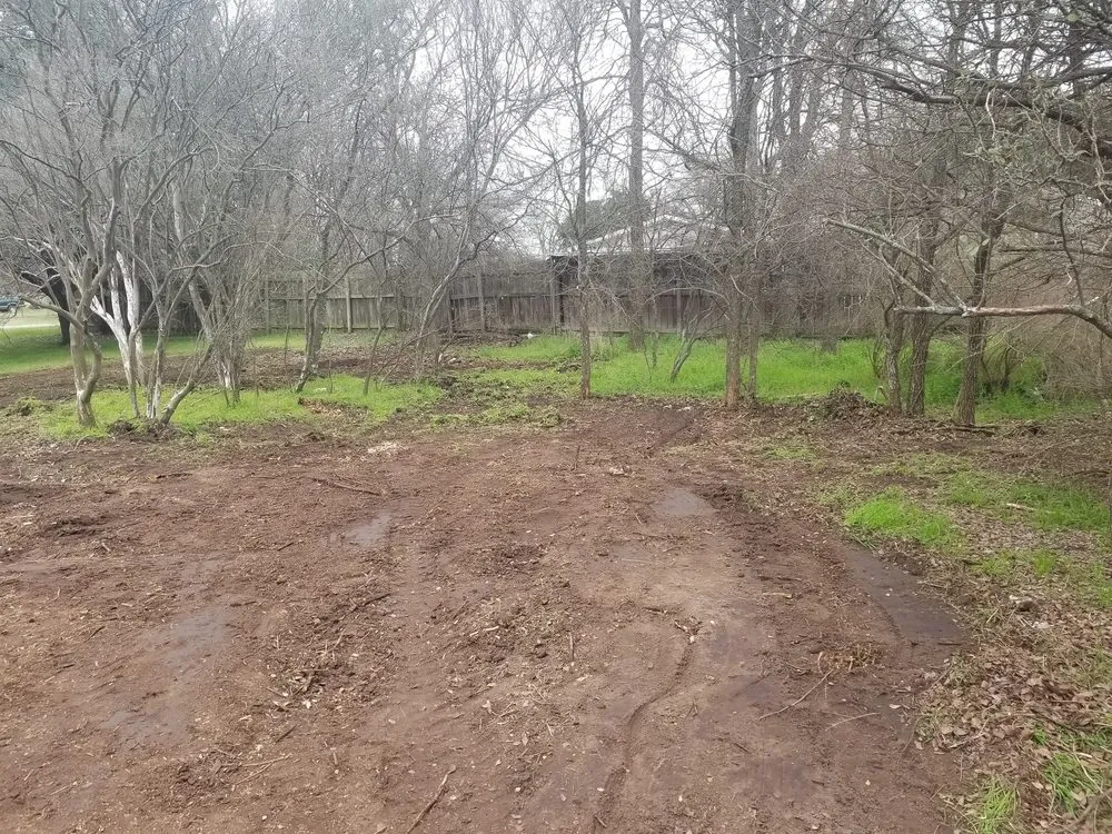 Expert yard cleanup service in Marble Falls, TX by All-Tex Construction Services