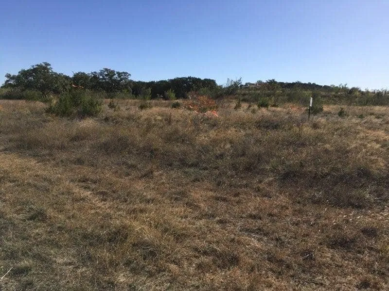 Professional landscape installation for year-round maintenance in Marble Falls, TX by All-Tex Construction Services