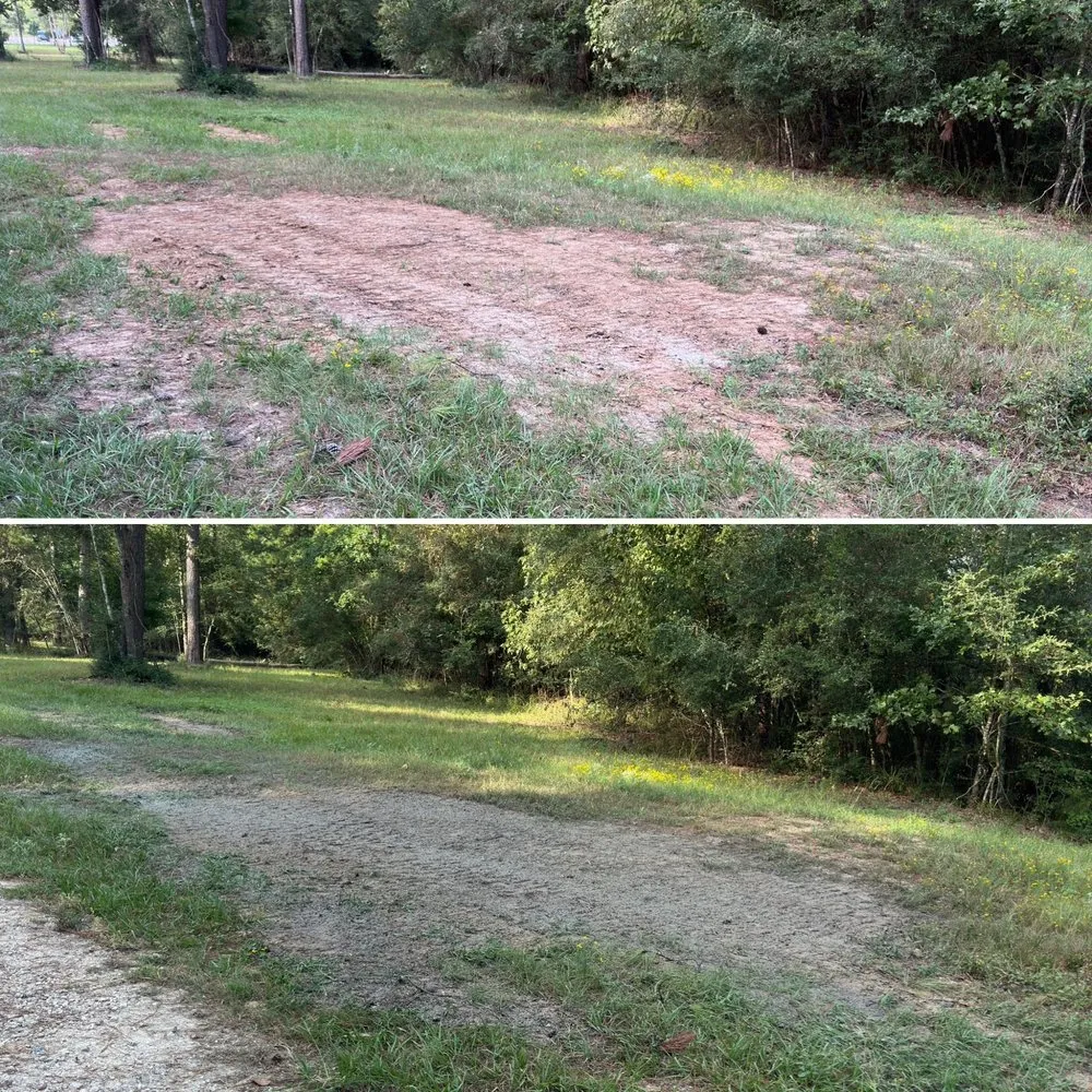 Affordable lawn care service for homes across Cypress, TX - All Tex Hydromulch and Seeding