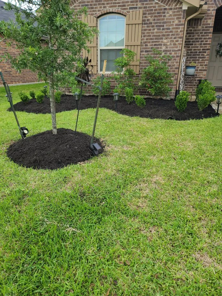 Local garden landscaping experts serving Fresno, TX - All texan pro services