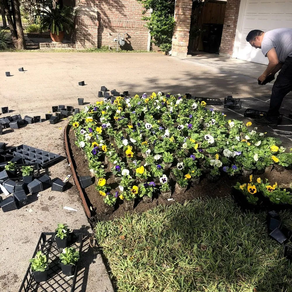 Expert garden landscaping in Fresno, TX - All texan pro services