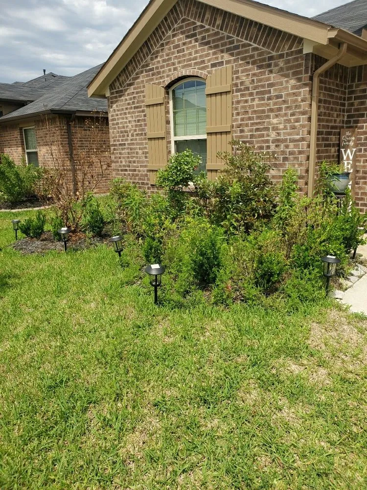 Affordable landscape installation in Fresno, TX - All texan pro services