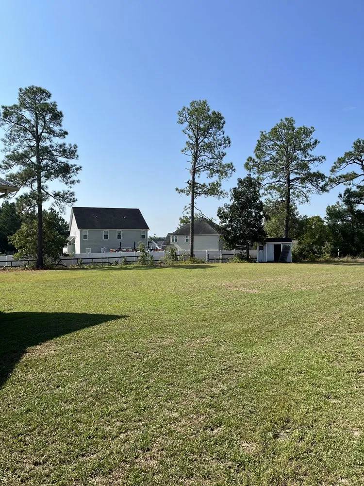 Custom yard cleanup service in Bunnlevel, NC - All The Above Landscaping