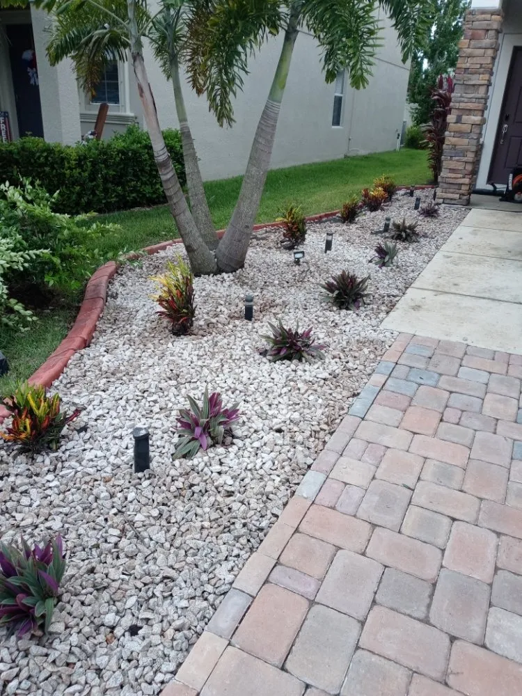 Custom lawn care service in Tampa Bay, FL by All The Above Landscaping