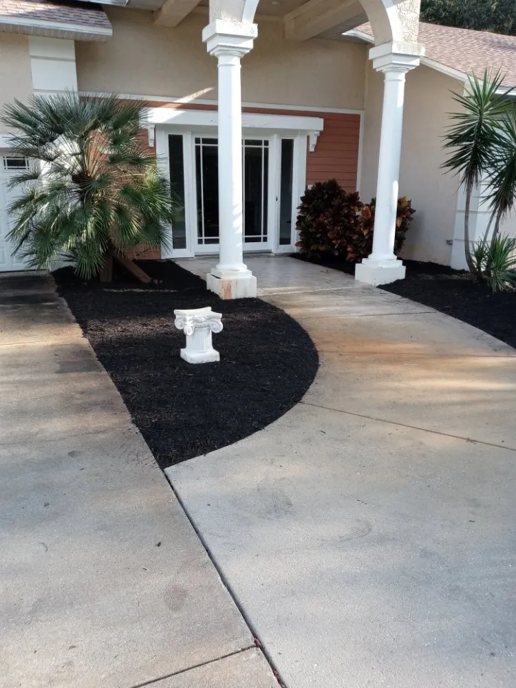 Local yard cleanup service experts serving Tampa Bay, FL - All The Above Landscaping
