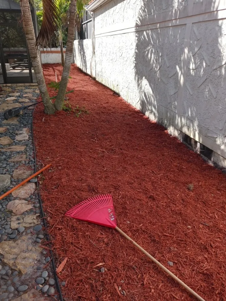 Reliable landscape design in Tampa Bay, FL by All The Above Landscaping