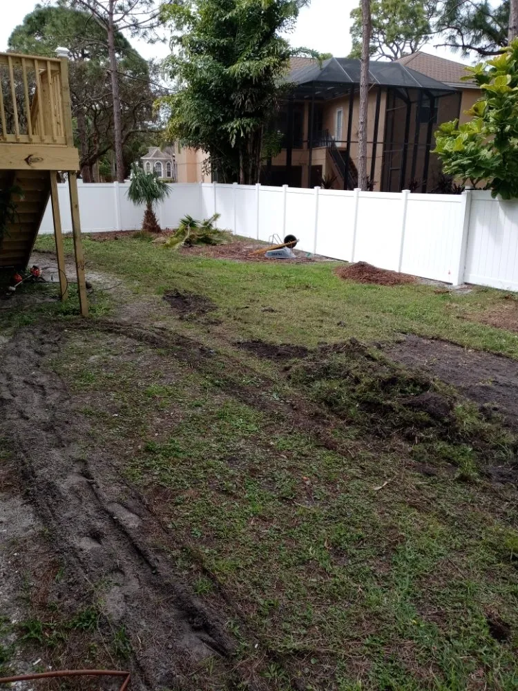 Professional yard maintenance for beautiful yards in Tampa Bay, FL by All The Above Landscaping