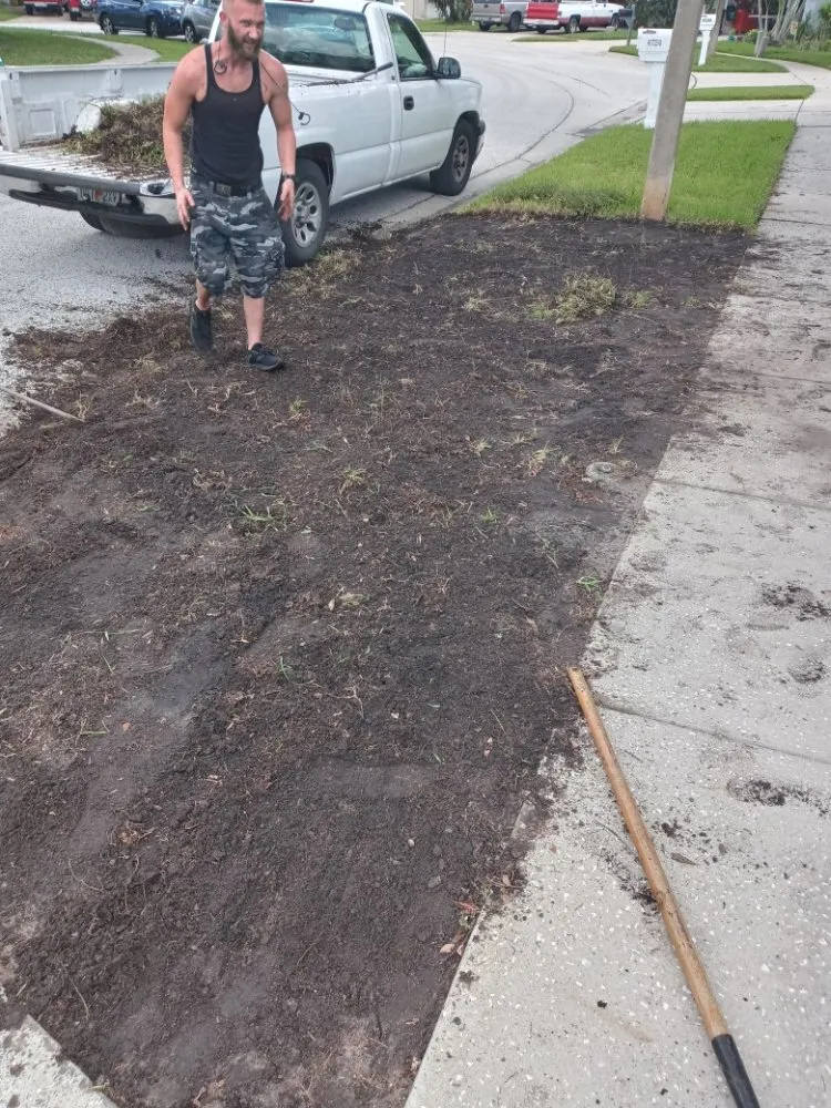 Expert landscape installation for residential properties across Tampa Bay, FL - All The Above Landscaping