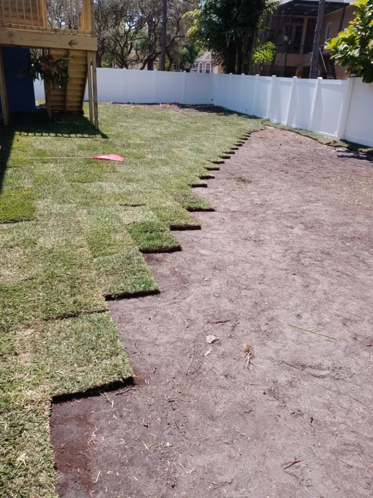 Local landscaping services in Tampa Bay, FL by All The Above Landscaping