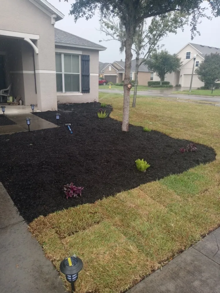 Affordable garden landscaping near you across Tampa Bay, FL - All The Above Landscaping