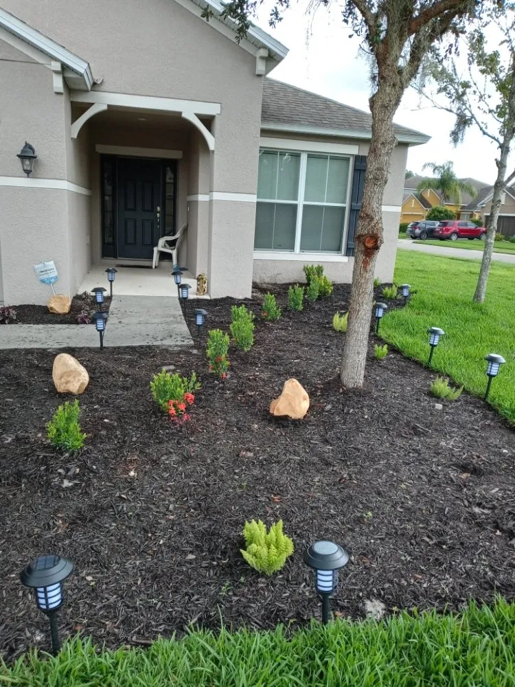 Expert yard cleanup service in Tampa Bay, FL by All The Above Landscaping