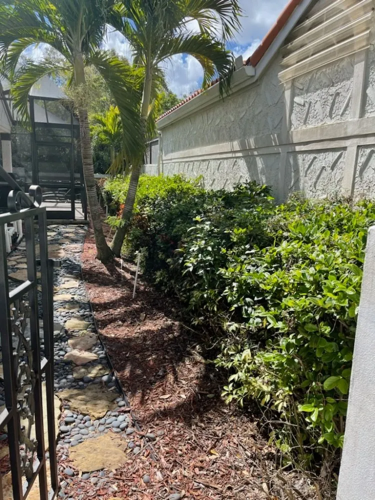 Local residential landscaping in Tampa Bay, FL by All The Above Landscaping