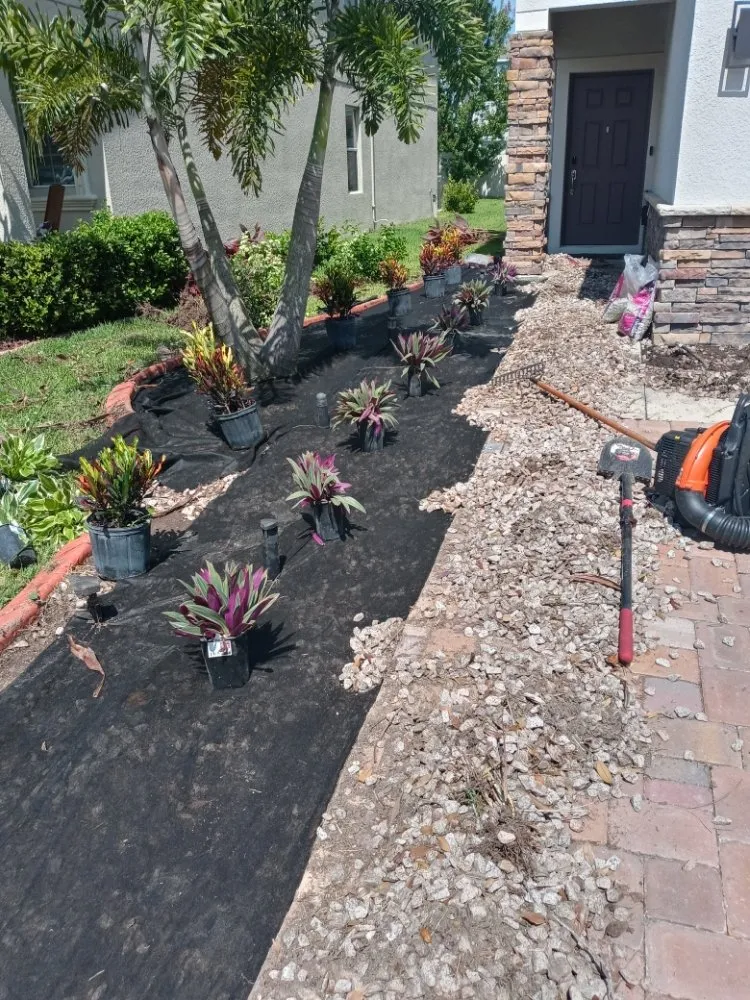 Top-rated outdoor landscaping near you across Tampa Bay, FL - All The Above Landscaping