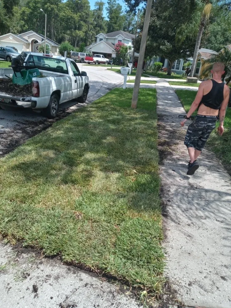 Reliable residential landscaping for outdoor upgrades across Tampa Bay, FL - All The Above Landscaping