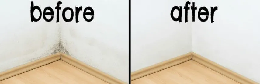 Professional landscaping services in Topeka, KS by All the Details