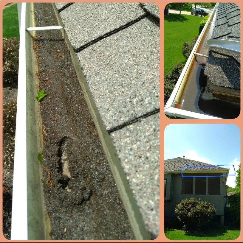 Top-rated residential landscaping in Topeka, KS by All the Details