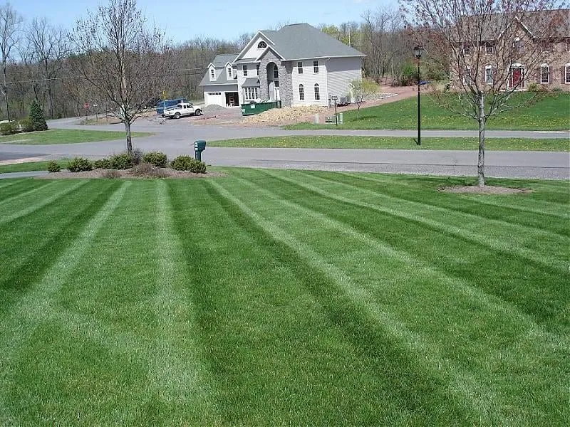 Custom lawn mowing service experts serving Topeka, KS - All the Details