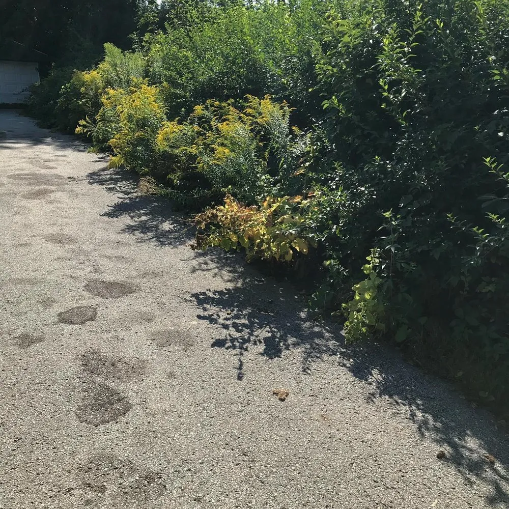 Local yard cleanup service for homes across South Milwaukee, WI - All The Family