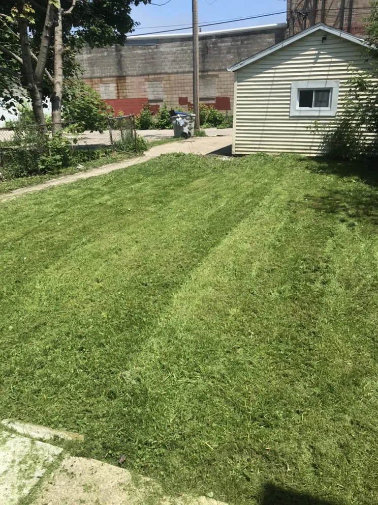Reliable yard maintenance in South Milwaukee, WI by All The Family