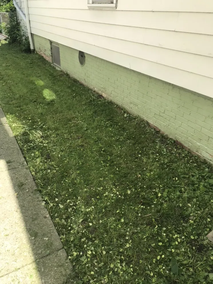 Local landscape installation for year-round maintenance in South Milwaukee, WI by All The Family