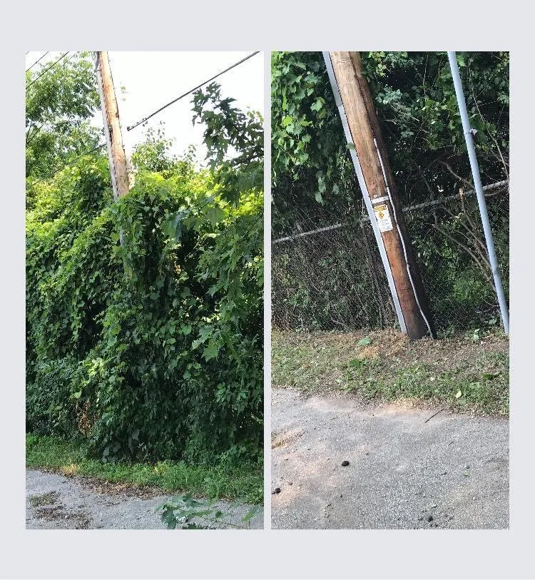 Expert residential landscaping in South Milwaukee, WI by All The Family