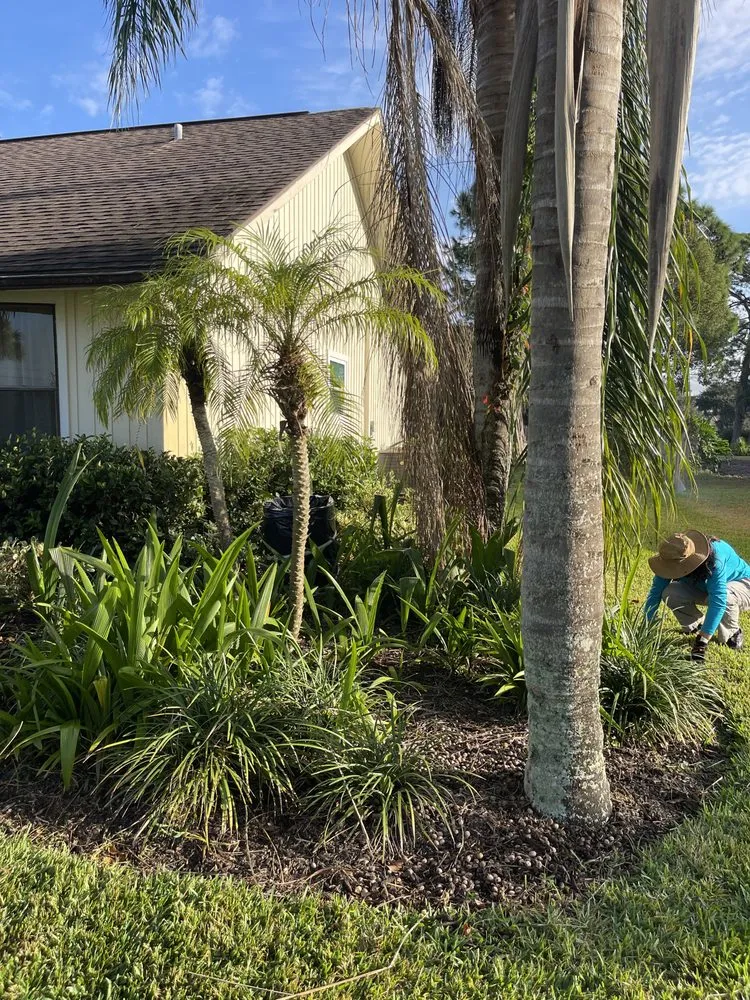 Reliable lawn care service for year-round maintenance across Edgewater, FL - All The Mow Reason