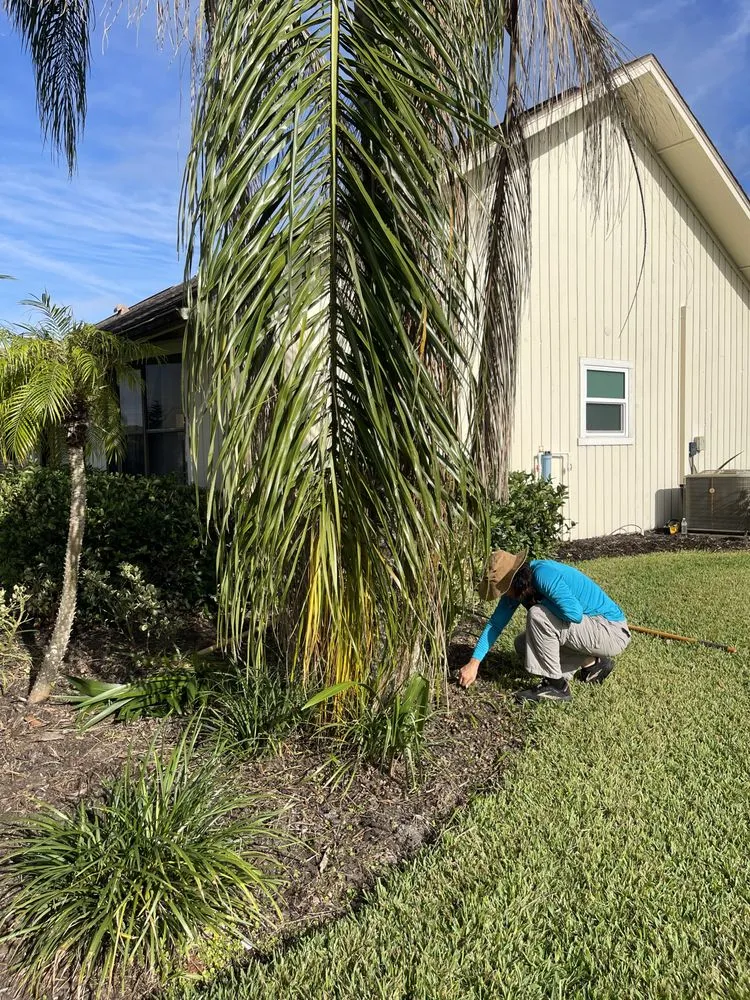 Expert landscaping services in Edgewater, FL - All The Mow Reason