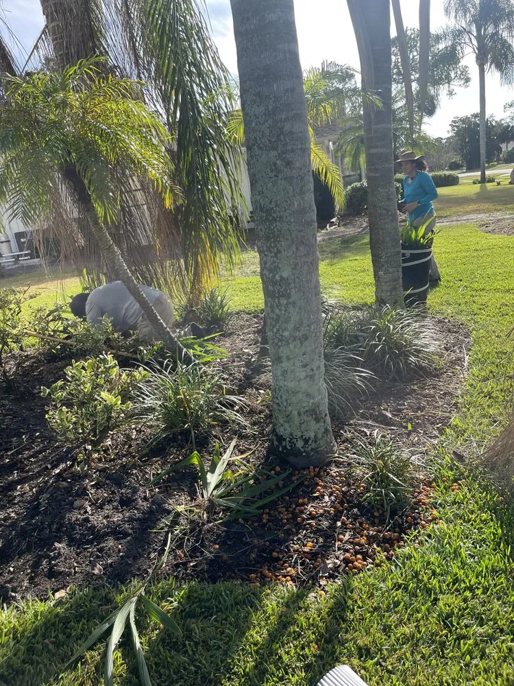 Professional landscape design near you in Edgewater, FL by All The Mow Reason