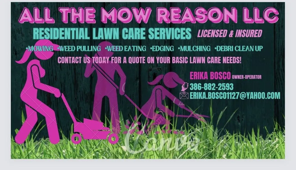 Trusted landscaping services in Edgewater, FL - All The Mow Reason