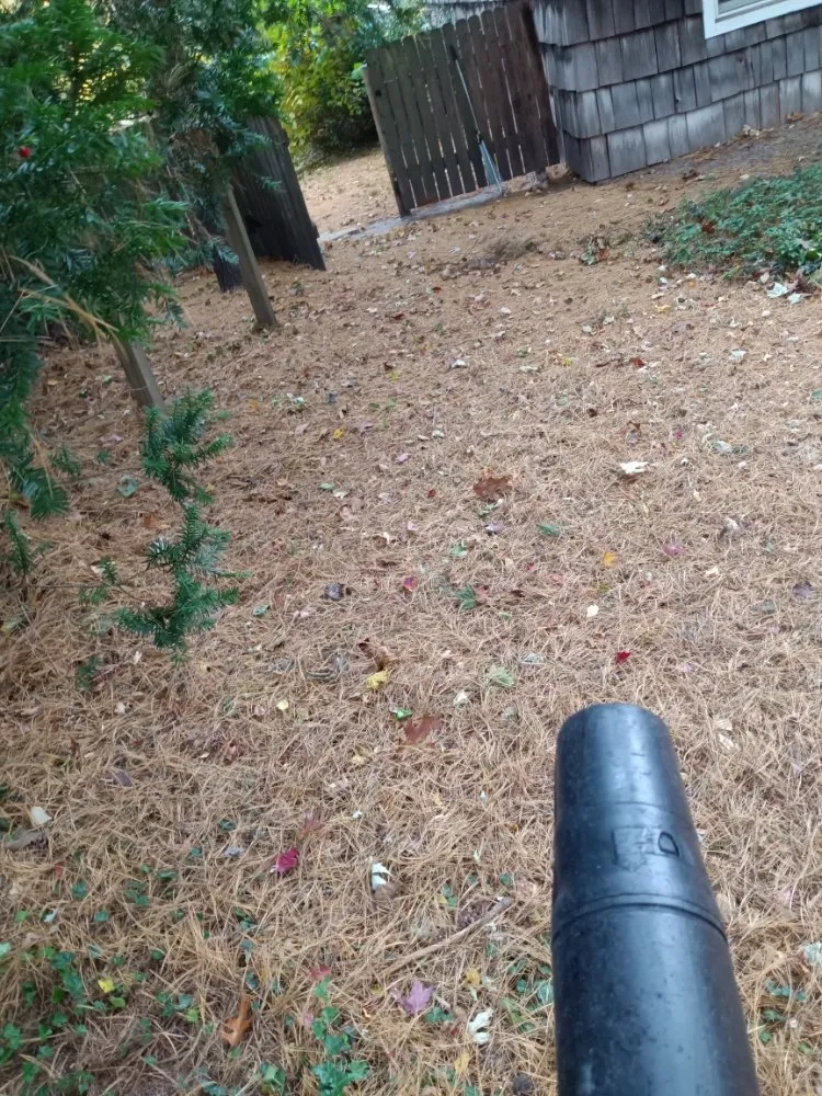 Reliable garden landscaping in Michigan City, IN by All The Rage Landscaping