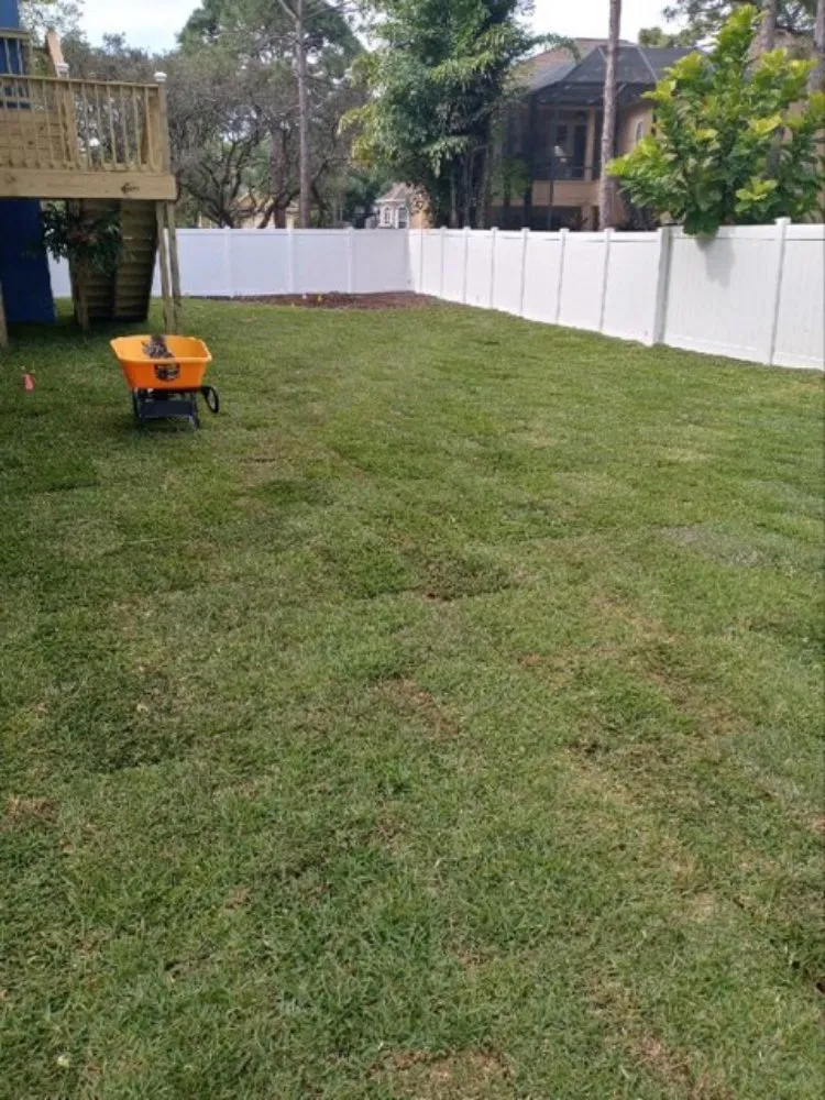 Professional lawn mowing service in Northdale, FL - All the Way Landscaping