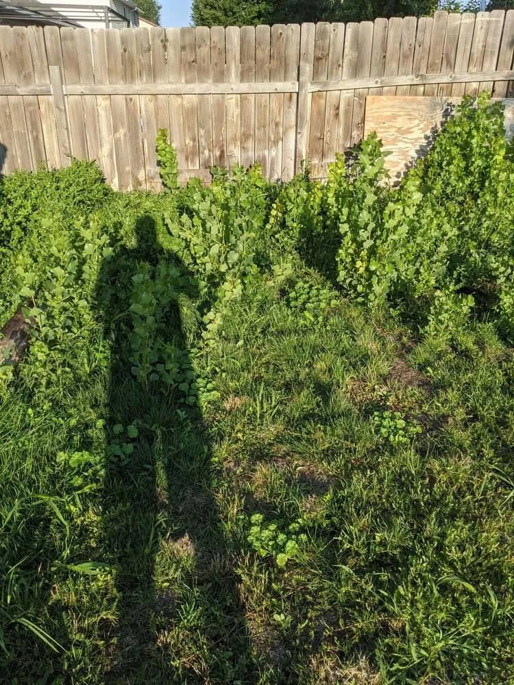 Reliable landscape installation in Meridian, ID by All The Way Property Maintenance