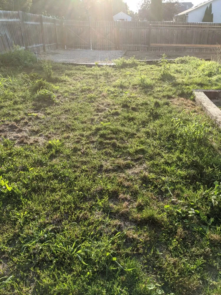 Trusted yard cleanup service in Meridian, ID by All The Way Property Maintenance