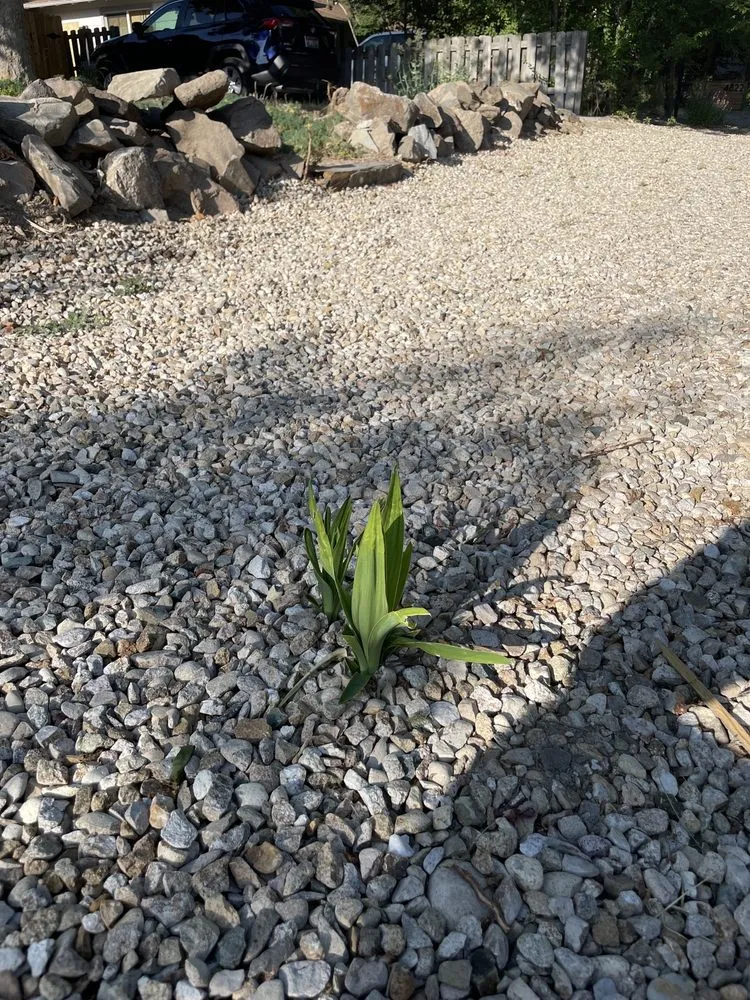 Expert residential landscaping for beautiful yards in Meridian, ID by All The Way Property Maintenance