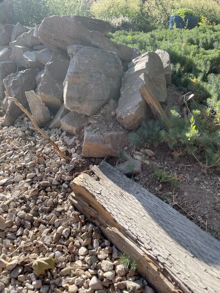 Top-rated yard cleanup service in Meridian, ID - All The Way Property Maintenance