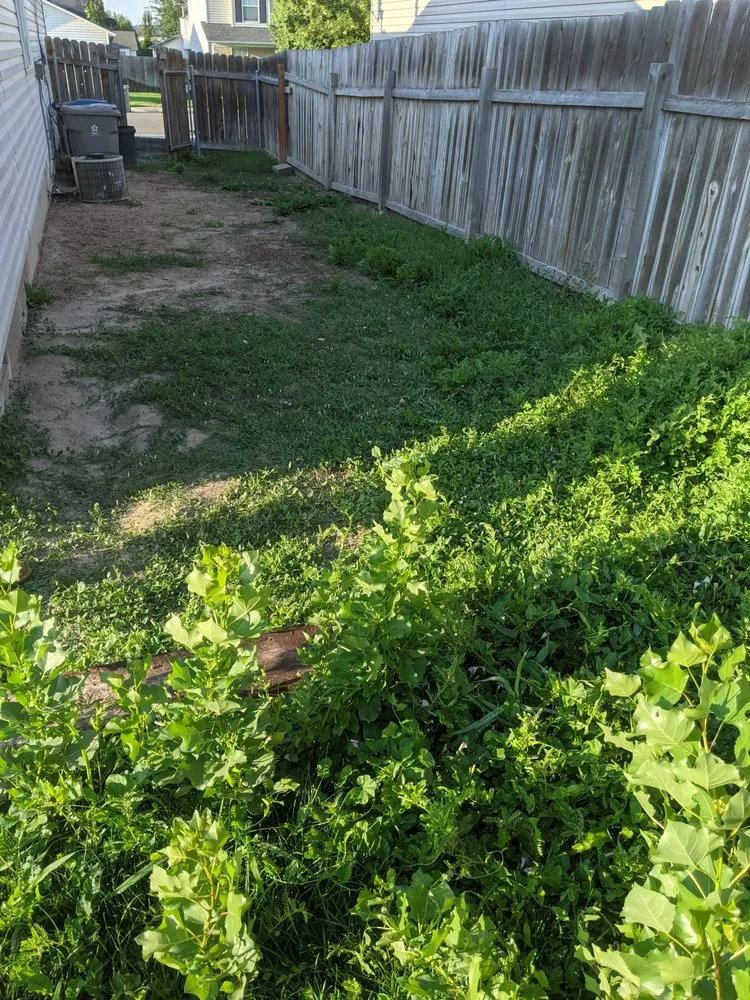 Expert residential landscaping with custom design in Meridian, ID by All The Way Property Maintenance