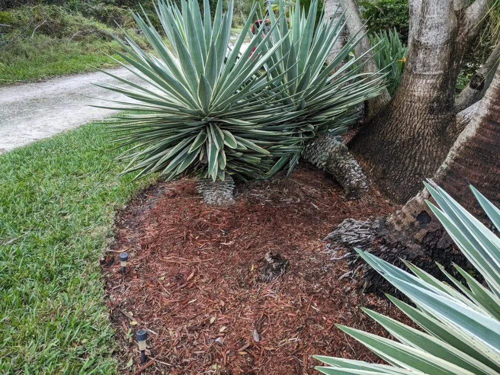 Expert landscape design near you across Port St. Lucie, FL - All The Way Up Lawn Care