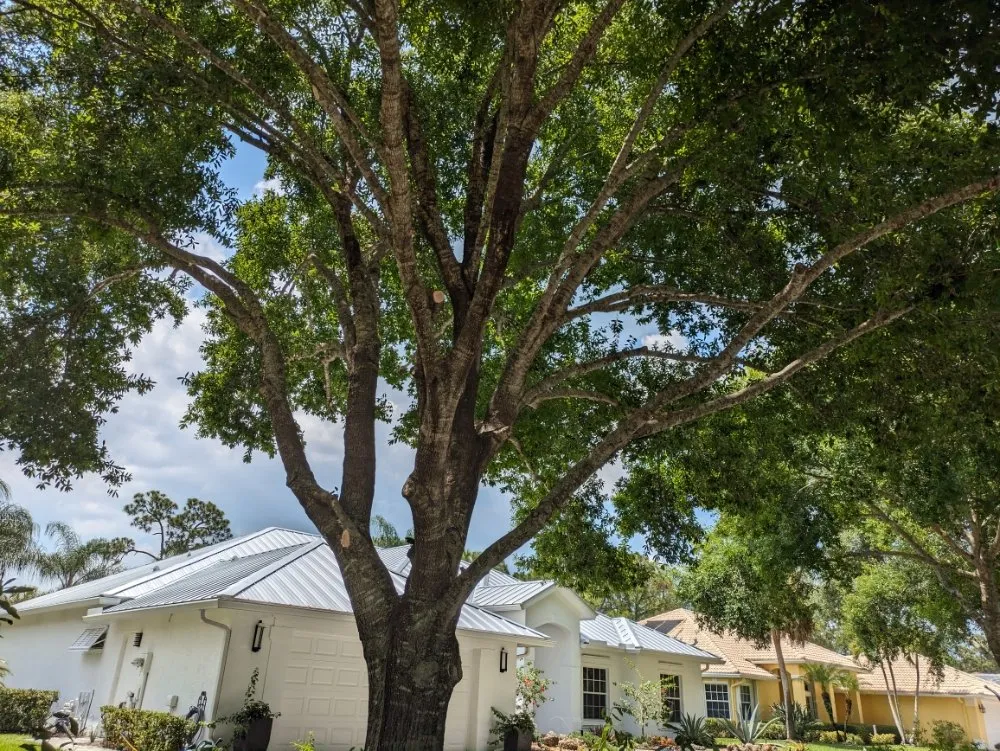 Affordable residential landscaping in Port St. Lucie, FL by All The Way Up Lawn Care