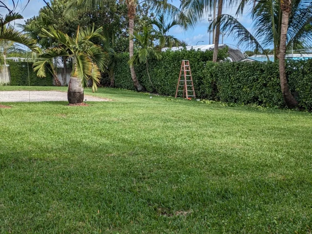 Trusted landscape design experts serving Port St. Lucie, FL - All The Way Up Lawn Care