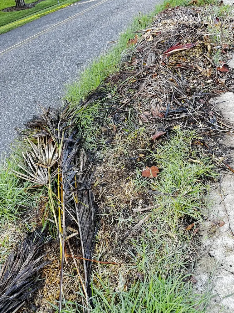Top-rated yard cleanup service for outdoor upgrades in Port St. Lucie, FL by All The Way Up Lawn Care