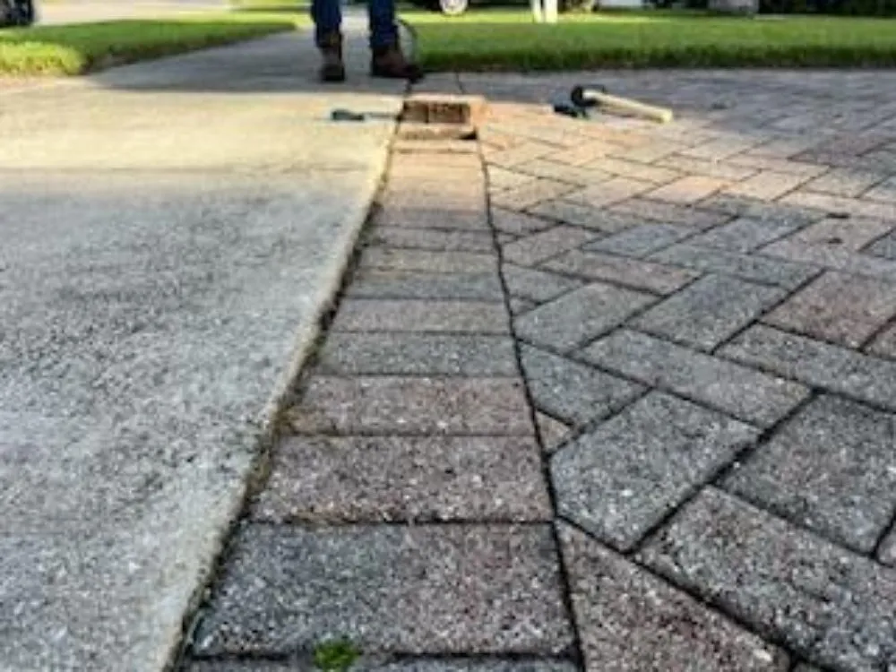 Reliable landscape installation experts serving Port St. Lucie, FL - All The Way Up Lawn Care