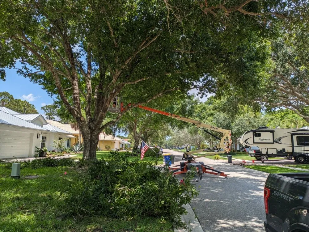 Local landscaping services in Port St. Lucie, FL - All The Way Up Lawn Care